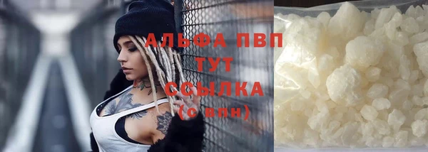 spice Бородино