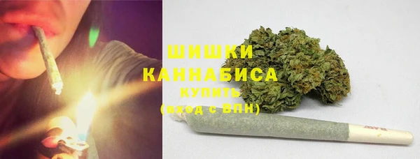 spice Бородино