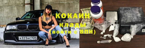 spice Бородино