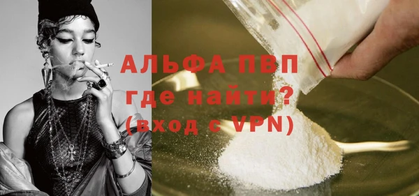 spice Бородино